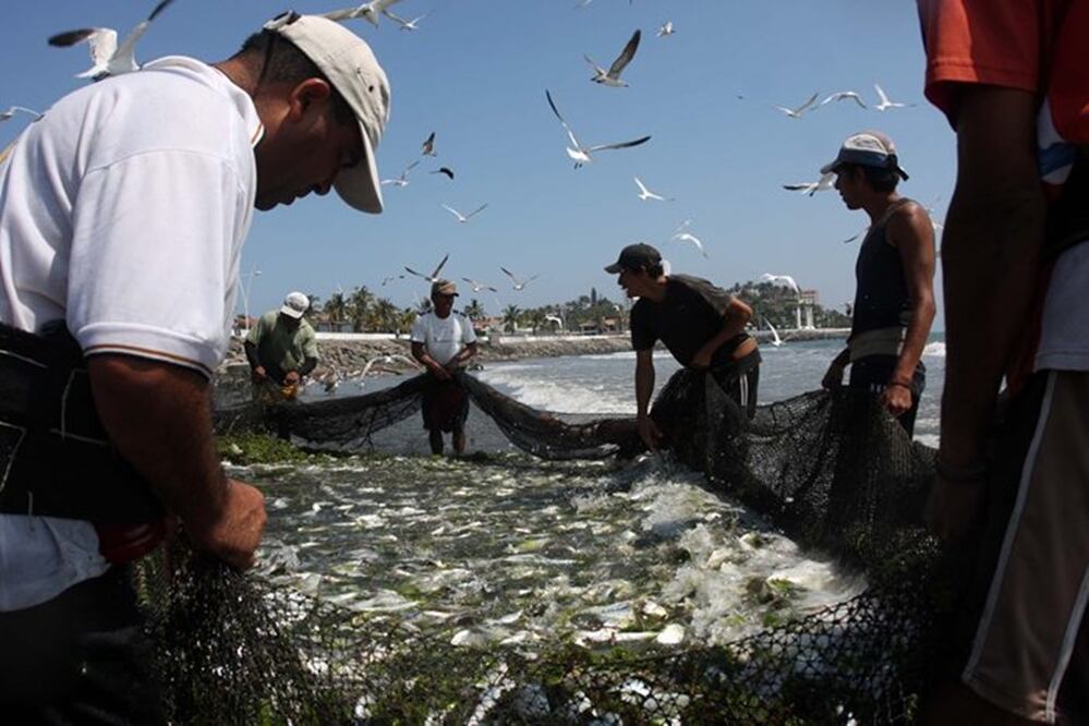 Foto: Archivo EL UNIVERSAL 