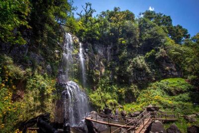 Cascadas Paraíso en Honey, un lugar mágico de la sierra de Puebla