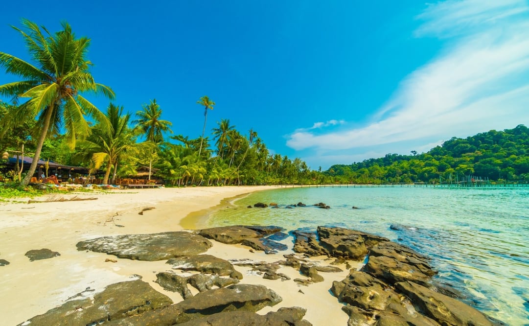 No todas las playas de México son aptas para uso recreativo. Foto: Freepik