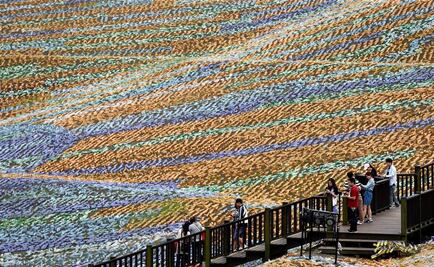 Van Gogh, en todo su esplendor