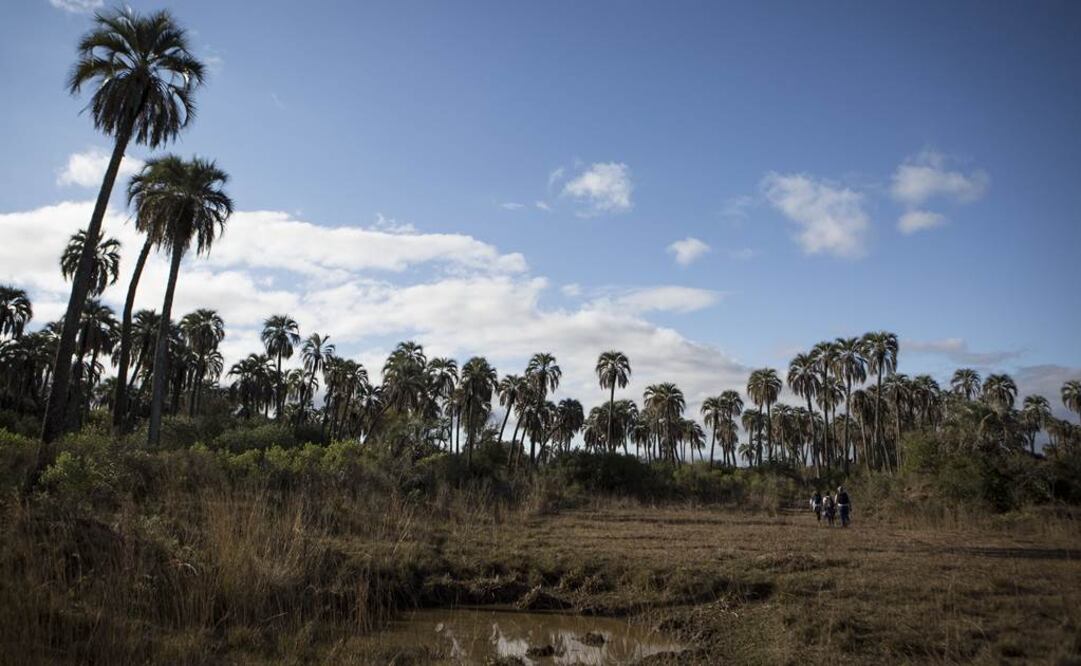 La sequía provocada por la escasez de lluvias en los últimos meses ha derivado en un descenso en la cantidad de agua almacenada en los embalses (Foto: Xinhua)