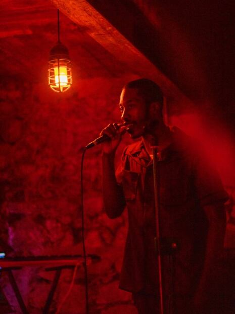 Festival The Jacaranda Experience, 7 actividades imperdibles