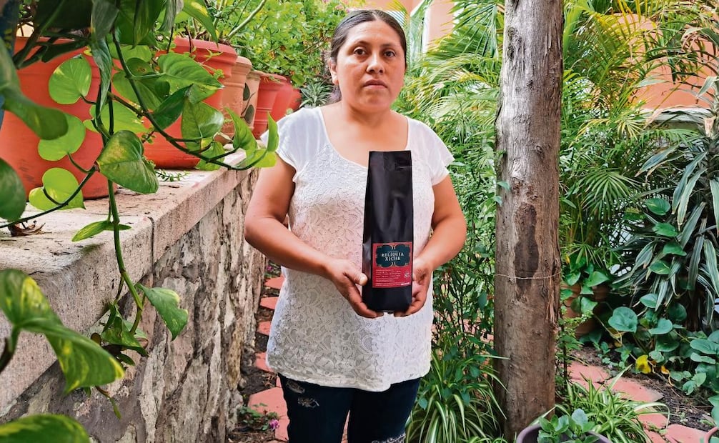 Mujeres oaxaqueñas crean sus propias marcas de café
