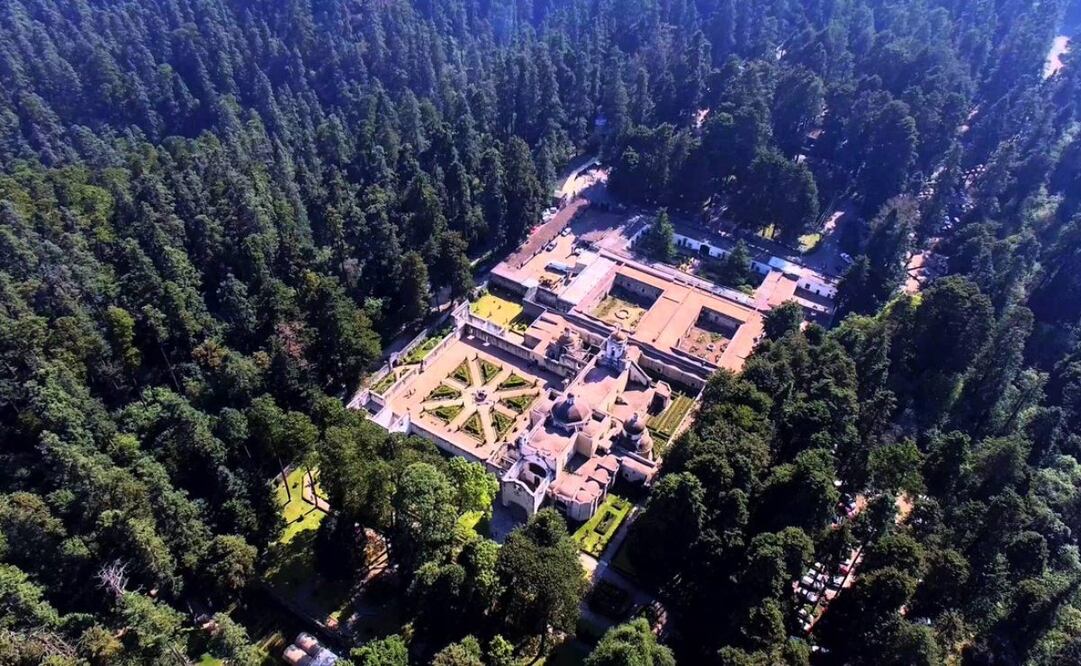 En “El Pantano” podrás observar ajolotes. Imagen: Gobierno de México