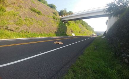 Hallan los cuerpos desmembrados de dos personas en Michoacán