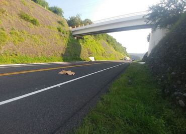 Hallan los cuerpos desmembrados de dos personas en Michoacán