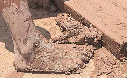 Niños pagan alto precio por la desigualdad: OCDE