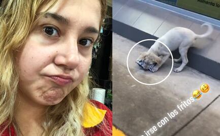 VIDEO: ¿Logró su cometido? Empleada capta a perrito "ladrón" en una tienda
