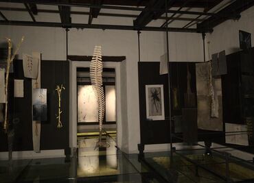 Dibujos, poesía y música en la exposición de Sandra Pani en el Claustro de Sor Juana