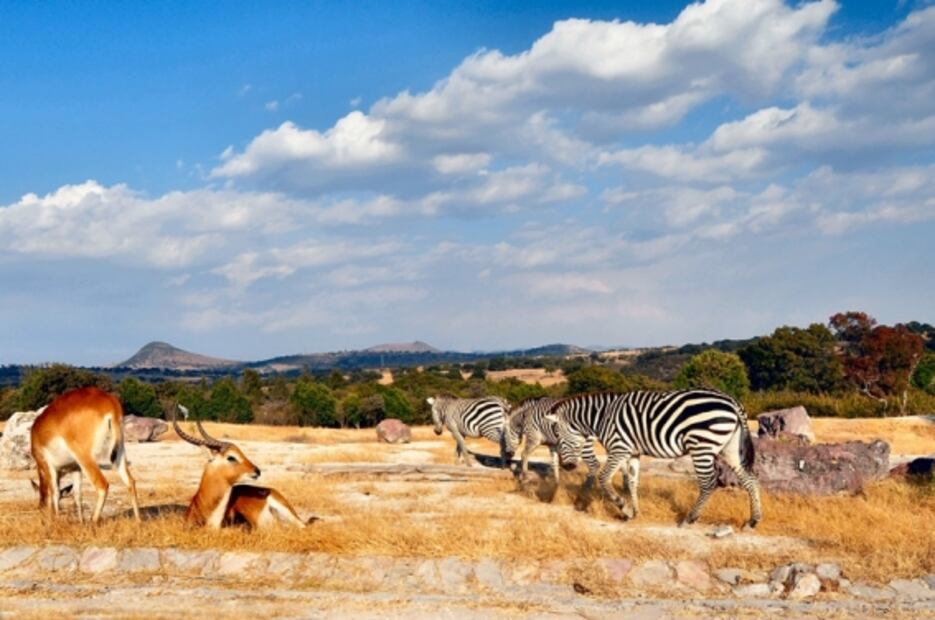 7 lugares imperdibles para visitar en Puebla