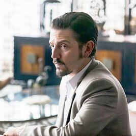 Luna y Cuarón van por el premio de los críticos