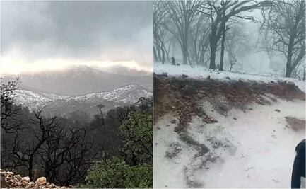 En pleno verano, la sierra de Sahuaripa, Sonora se pinta de blanco por intensa granizada