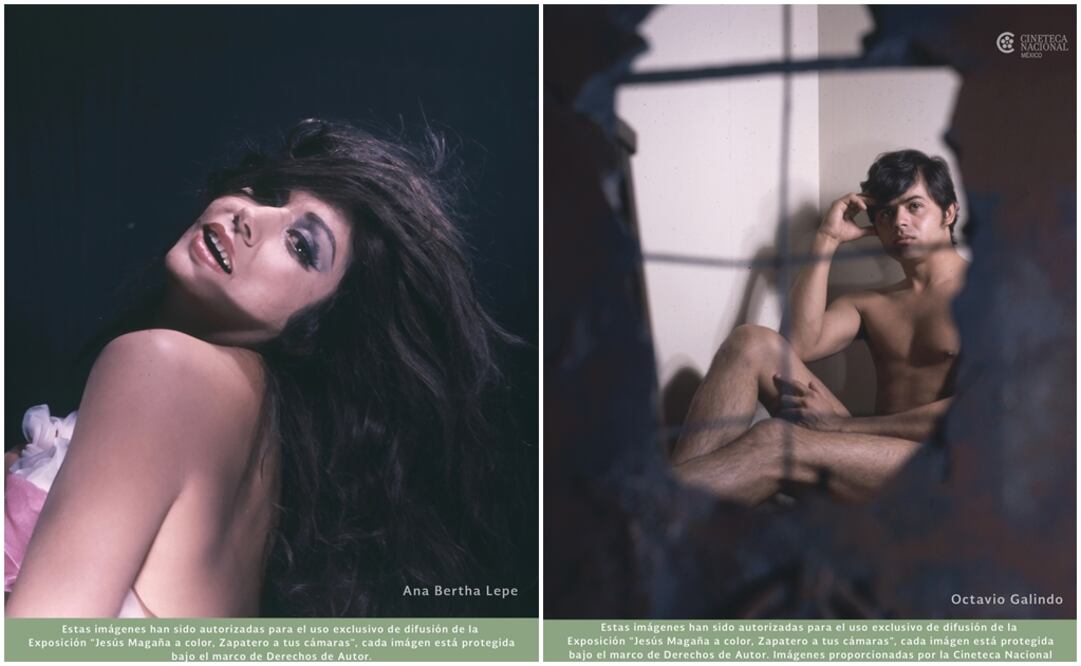 Foto: Cortesía galería José María Velasco / Cineteca Nacional