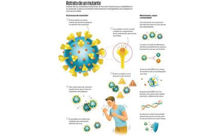 ¿Qué implican las reinfecciones por Covid-19?