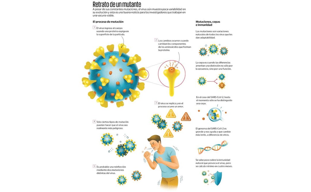 Infografía: EL UNIVERSAL