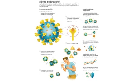 ¿Qué implican las reinfecciones por Covid-19?