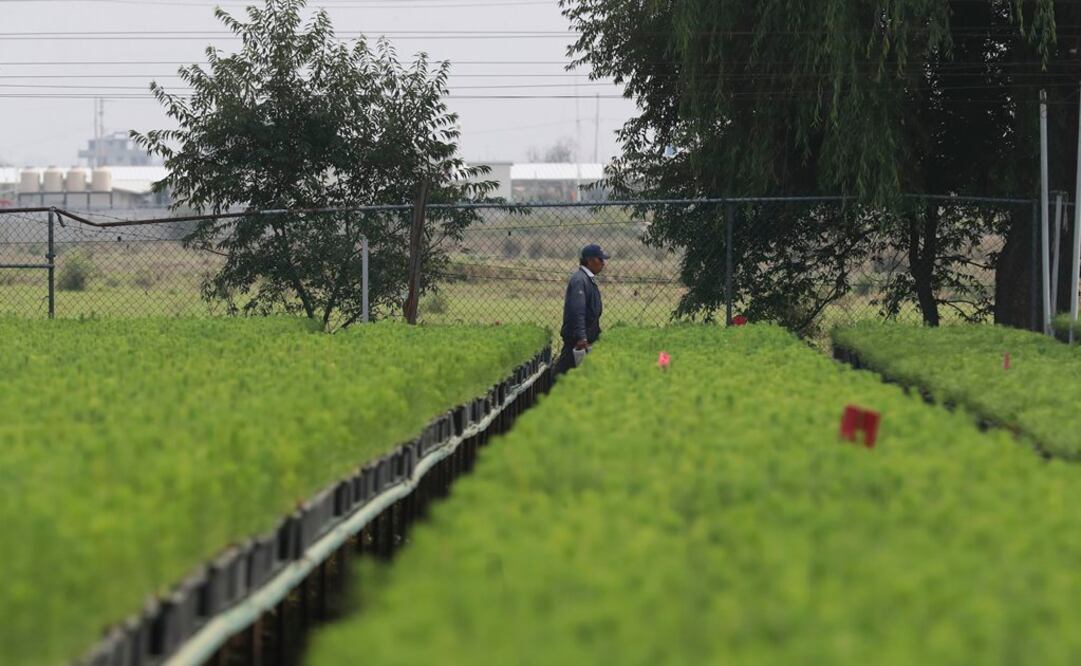Foto: Jorge Alvarado. EL UNIVERSAL