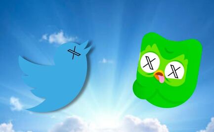 X despide a mascota de Duolingo lanzando dardo a Twitter; "todos los pájaros van al cielo"