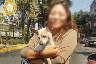 Lomito Chihuahua regresa con su dueña gracias a policías de la CDMX ¡Se les perdió varias horas!
