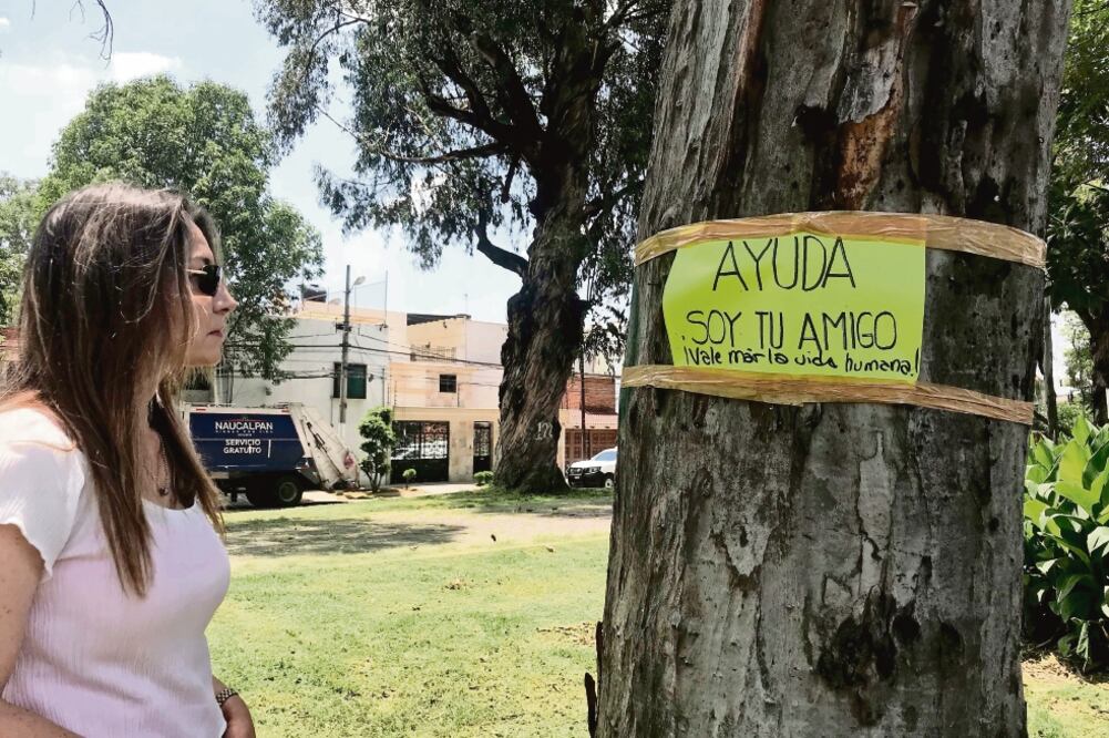 Inconformes con el retiro de los ejemplares en el camellón pegaron letreros en los que se lee “Ayuda, soy tu amigo”, a lo que en la misma cartulina les contestan: “Vale más la vida humana” (REBECA JIMÉNEZ. EL UNIVERSAL)