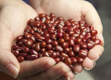 La preparación mexicana a base de maíz que contiene altos niveles de magnesio y debes consumir a los 40 años