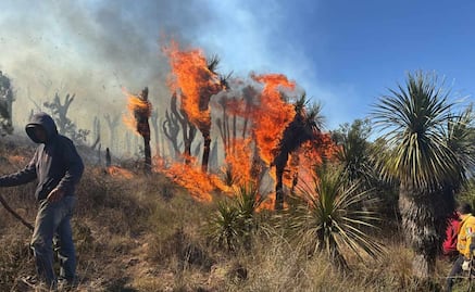 Protección civil y Policía Forestal combate incendio en límites de Puebla y Tlaxcala; efectúan sobrevuelo