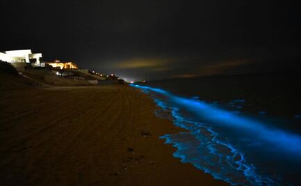 Captan espectacular efecto por bioluminiscencia en Puerto Peñasco