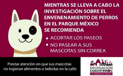 Mexico City investigates reports of dog poisoning at park