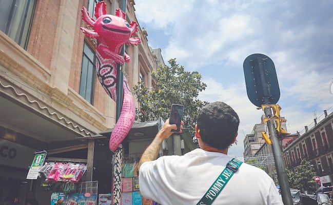 En Centro Histórico, la ajolotización se expande