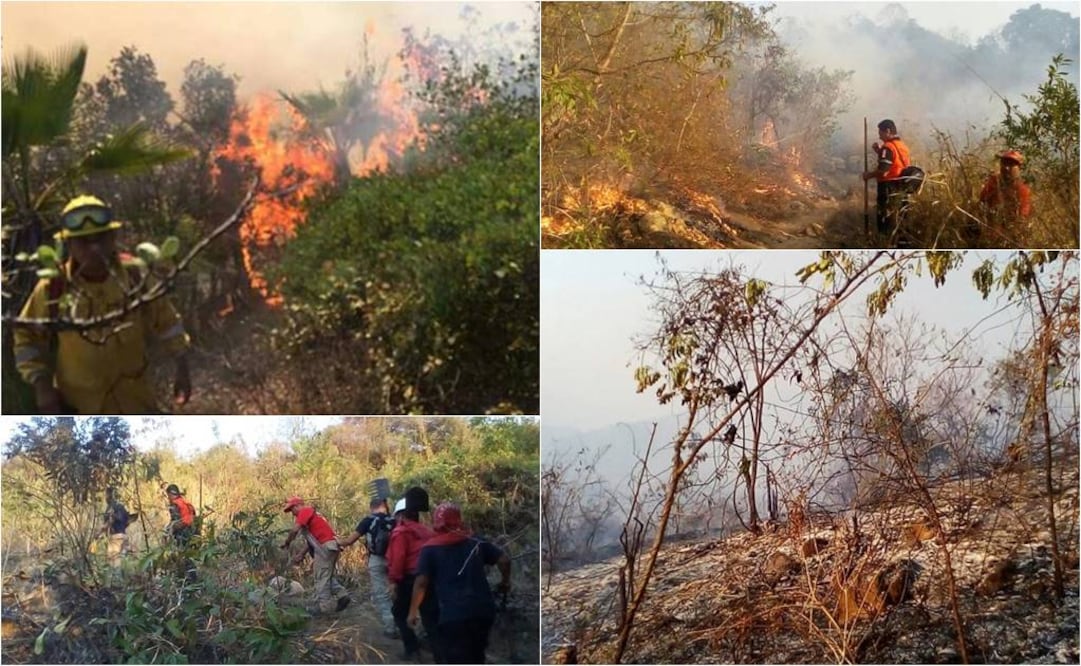 (Fotos: @PC_Guerrero y @CONAFOR)