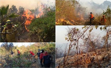 Incendio en parque nacional de Acapulco afectó 50 hectáreas