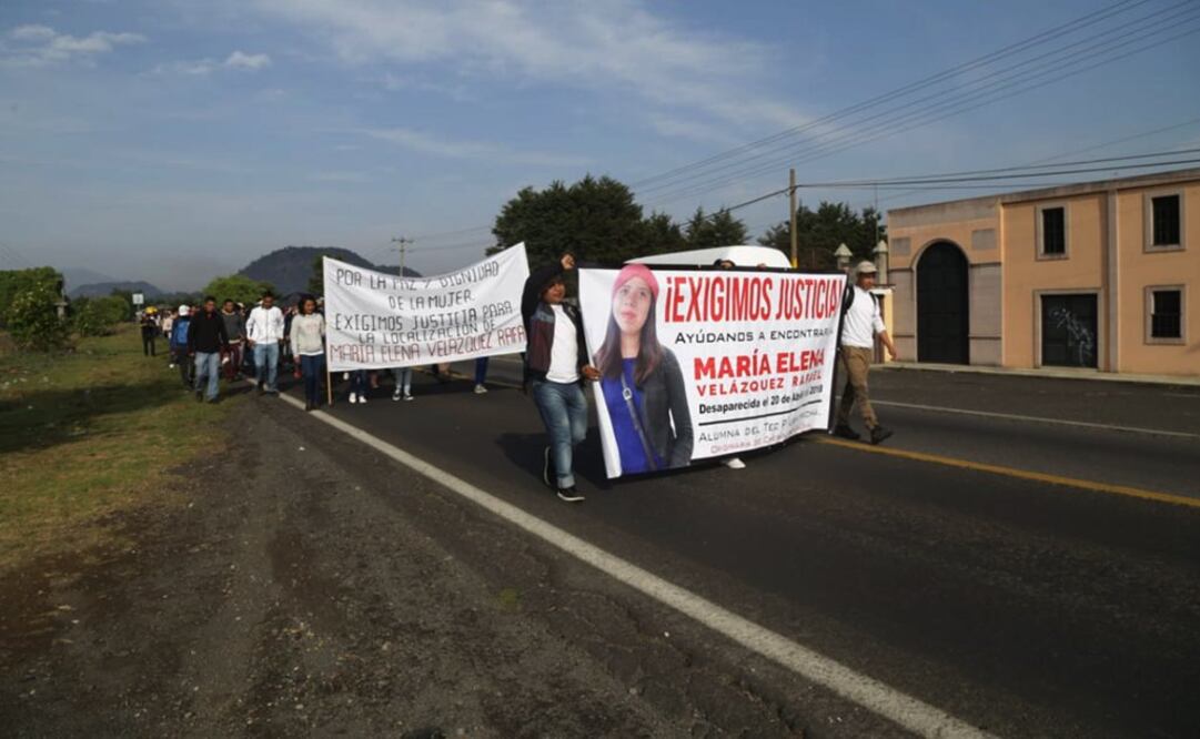 Foto: Cortesía de Francisco Torres