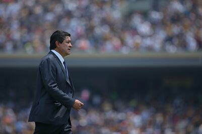 Tenemos que apoyar a Martino: Tena