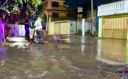 Reducirán suministro de agua en 5 municipios por fuga en Ecatepec