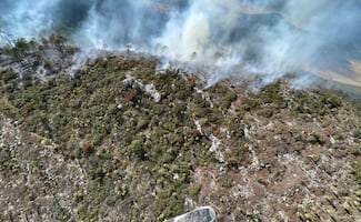 Incendio forestal en Miquihuana, Tamaulipas, ha sido controlado en un 70%: Protección Civil; es área de la Mariposa Monarca