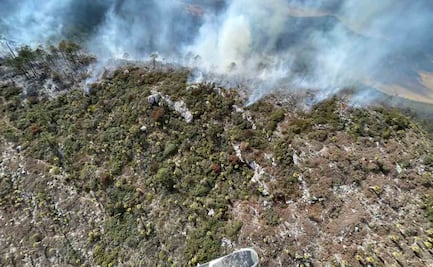 Incendio forestal en Miquihuana, Tamaulipas, ha sido controlado en un 70%: Protección Civil; es área de la Mariposa Monarca
