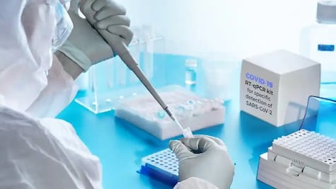 Prueba del coronavirus: para qué sirven y para qué no los distintos tests del Covid-19