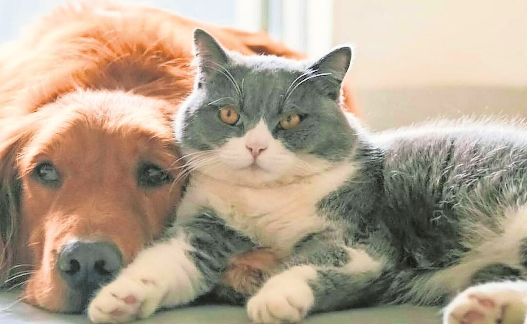 Imagen ilustrativa / Especial