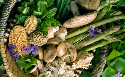 Ingredientes de temporada: todo sobre la cocina de lluvia