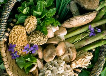Ingredientes de temporada: todo sobre la cocina de lluvia