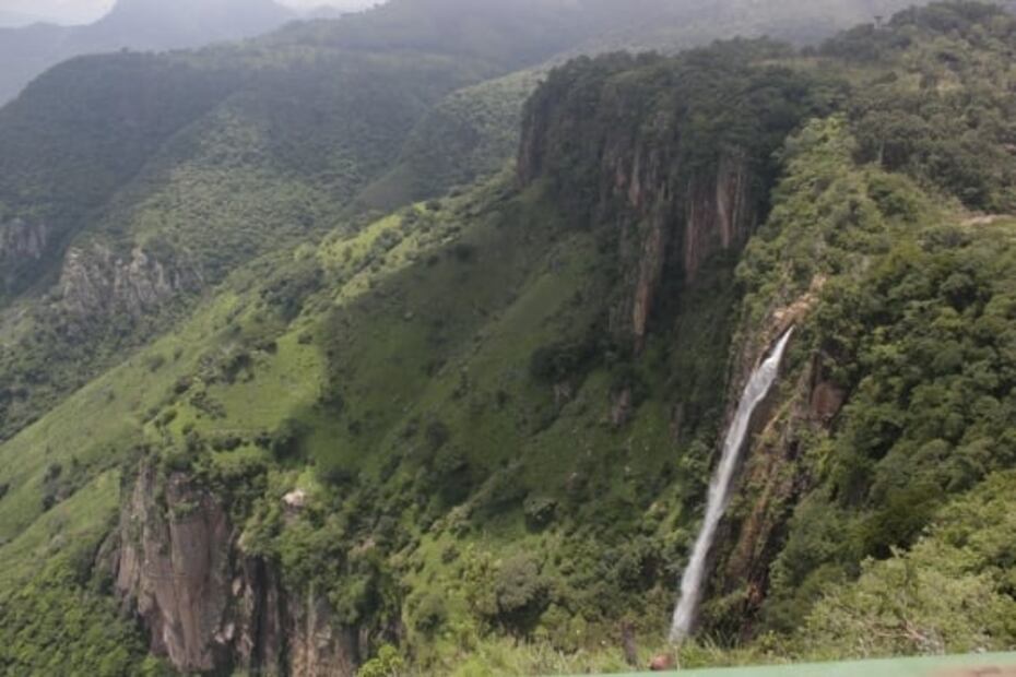 Sierra de Nanchititla, el bosque del Edomex que tal vez no conocías