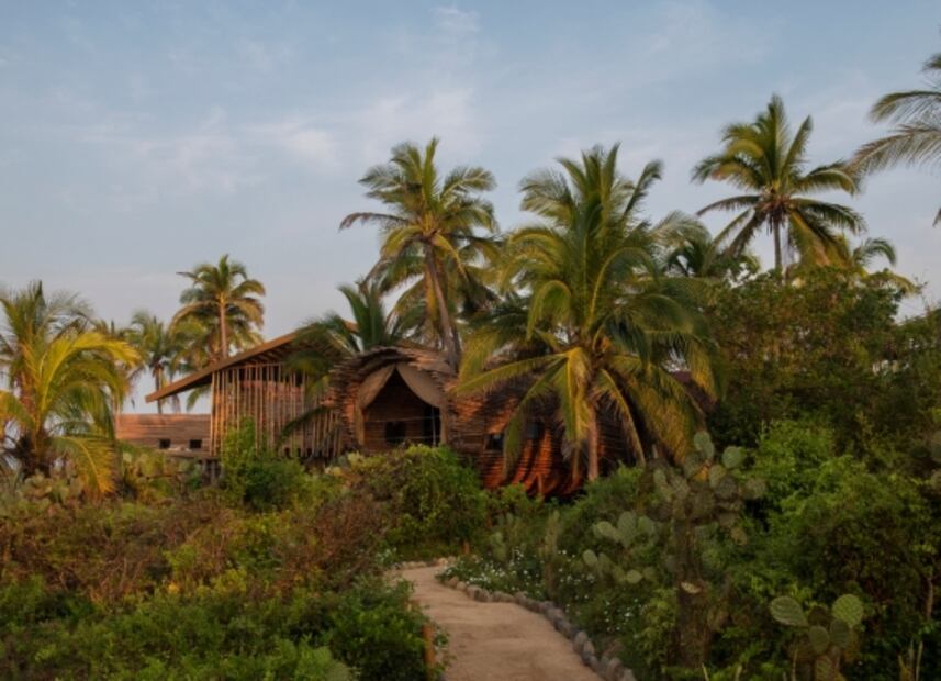 Así son las encantadoras casas del árbol de Playa Viva en Ixtapa Zihuatanejo