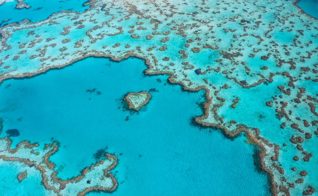 La Gran Barrera de Coral es el arrecife más grande en la Tierra. Foto: iStock