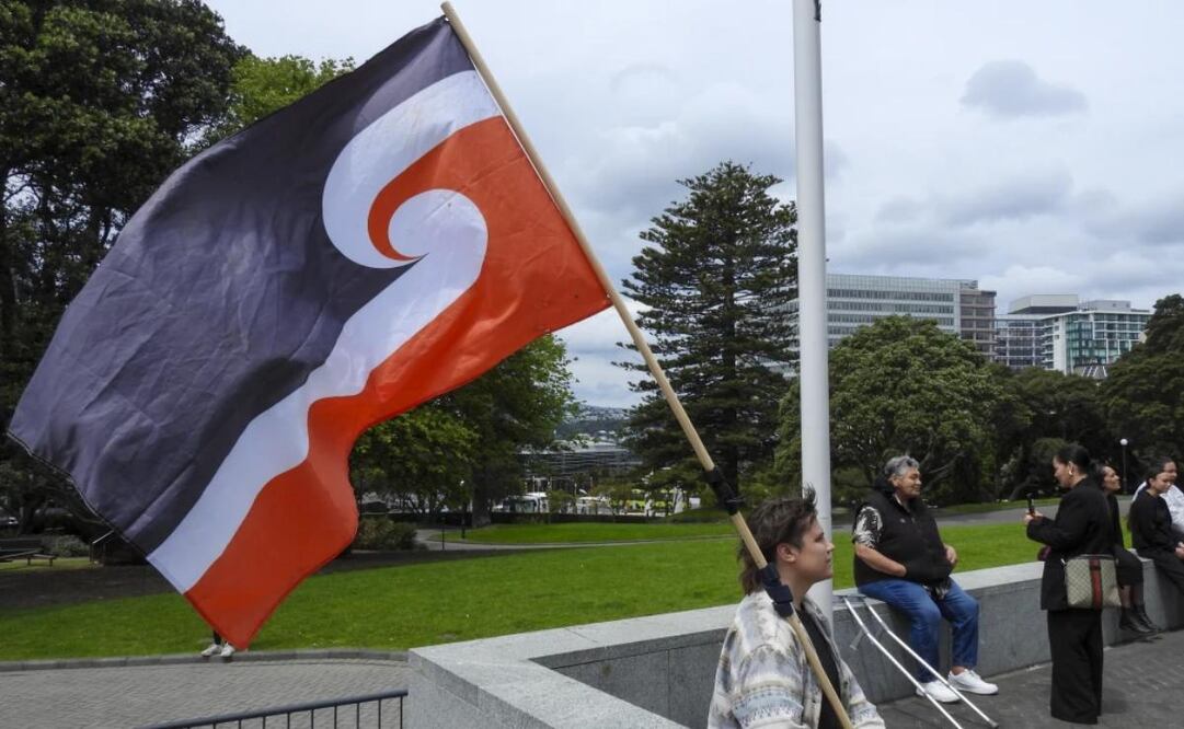 Una manifestante contraria a la Ley de Principios del Tratado se sienta ante el parlamento en Wellington, Nueva Zelanda, el jueves 14 de noviembre de 2024. Foto: AP