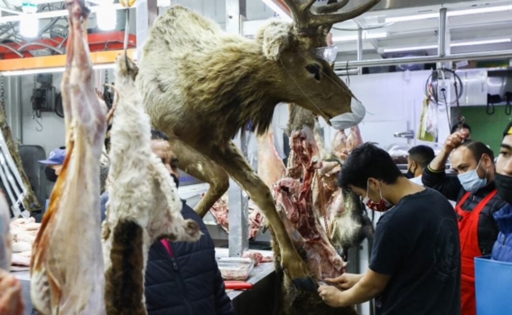 Arribo de vacunas, compras para la cena de Navidad y clases de baile, entre las fotos de la semana