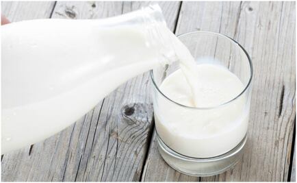 Descubre los beneficios de la leche de búlgaros
