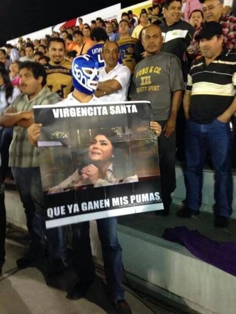 Memes Pumas