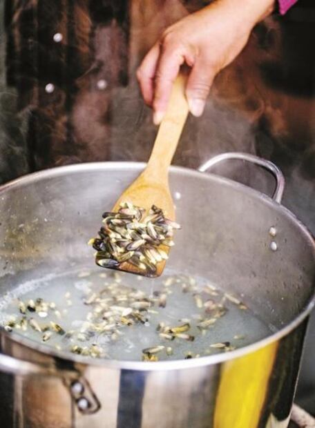 Back to basics: hagamos tortillas en casa