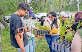 Aleida Alavez y Claudia Sheinbaum impulsan reforestación histórica en Iztapalapa