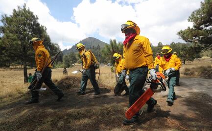 Sheinbaum destaca que "CDMX está lista para temporada de incendios forestales"; cuenta con 4 mil brigadistas